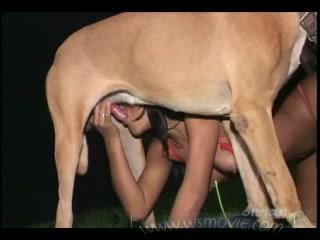 Sensational: Girl Engages in Sensual Dog Sex!