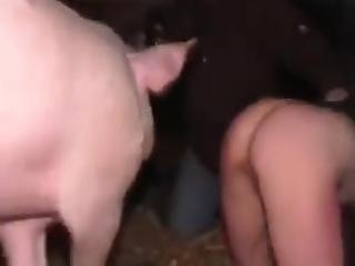 Shock and Awe: Watch High Quality Video of Pink Pig Fucking a Girl in the Pussy with His Dick!