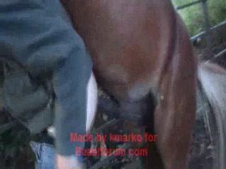 320px x 240px - Horny amateur POV fucking horse and getting creampie watch free porn video  watch free animal sex only on our website - PornDaft - Free Amateur Porn