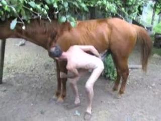 Unbelievable! Gay Man Goes to Extremes with Horse Cock Animal Porn!