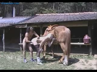 See free porn video of a young couple having a threesome with a horse in Fuck Free - Animal Porn Free.