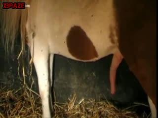Sexy slut her ponyto fucking ass sex animal porn clip